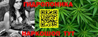прущие грибы Ликино-Дулёво