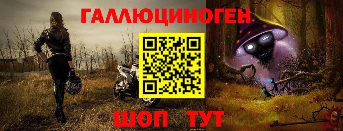 Псилоцибиновые грибы MAGIC MUSHROOMS  продажа наркотиков  Дзержинск  Галлюциногенные грибы мицелий  Вход с VPN 